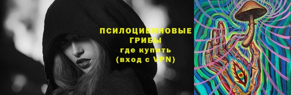 ПСИЛОЦИБИНОВЫЕ ГРИБЫ Михайлов