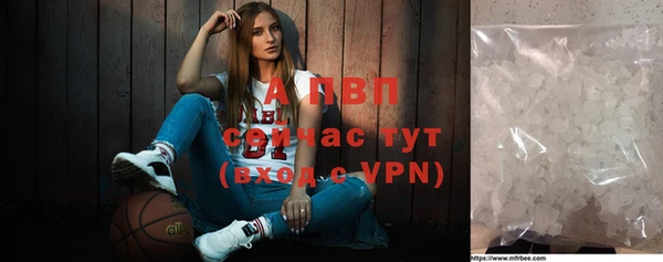 ПСИЛОЦИБИНОВЫЕ ГРИБЫ Михайлов