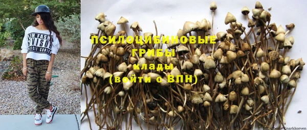 крисы Михайловка