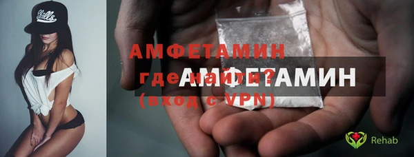ПСИЛОЦИБИНОВЫЕ ГРИБЫ Михайлов