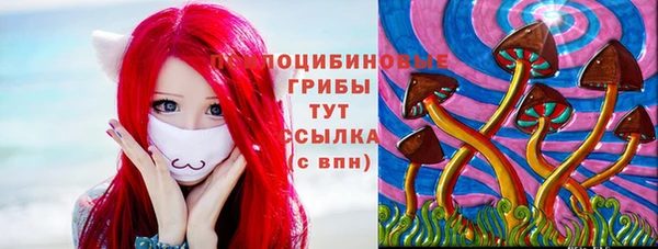 мяу мяу мука Апатиты
