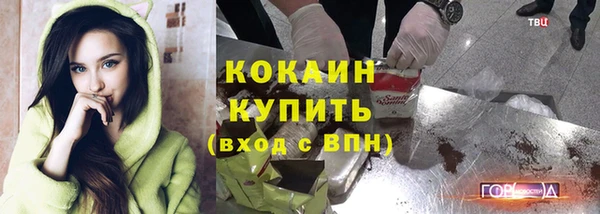 ПСИЛОЦИБИНОВЫЕ ГРИБЫ Михайлов