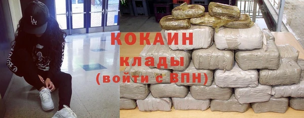 ПСИЛОЦИБИНОВЫЕ ГРИБЫ Михайлов