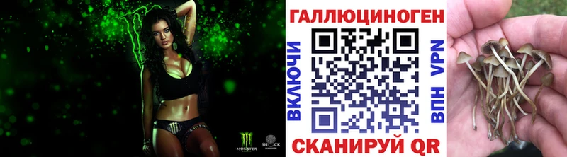 Псилоцибиновые грибы мицелий  shop формула  Монино 